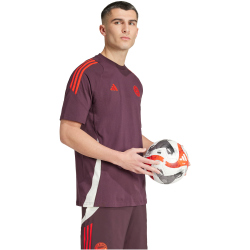 adidas FC Bayern M&uuml;nchen Tiro 24 T-Shirt 2024/25 Herren