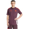 adidas FC Bayern München Tiro 24 T-Shirt 2024/25 Herren