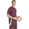 adidas FC Bayern München Tiro 24 T-Shirt 2024/25 Herren