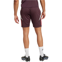 adidas FC Bayern M&uuml;nchen Tiro 24 Trainingsshorts...