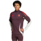 adidas FC Bayern München Tiro 24 Trainingsshirt 2024/25 Herren
