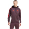 adidas FC Bayern München Tiro 24 Hoodie 2024/25 Herren