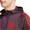 adidas FC Bayern München Tiro 24 Hoodie 2024/25 Herren