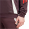 adidas FC Bayern München Tiro 24 Hoodie 2024/25 Herren