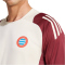 adidas FC Bayern München Tiro 24 Trainingstrikot 2024/25 Herren