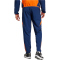 adidas Juventus Turin Tiro 24 Competition Präsentationshose 2024/25 Herren