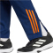 adidas Juventus Turin Tiro 24 Competition Präsentationshose 2024/25 Herren