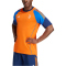 adidas Juventus Turin Tiro 24 T-Shirt 2024/25 Herren