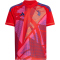 adidas Juventus Turin Torwarttrikot 2024/25 Kinder