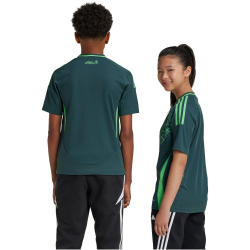 adidas FAF Algerien Auswärtstrikot 2024 Kinder