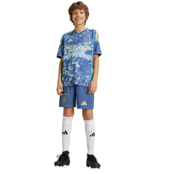 adidas Ajax Amsterdam Ausw&auml;rtstrikot 2024/25 Kinder