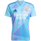 adidas Real Madrid Heim Torwarttrikot 2024/25 Herren