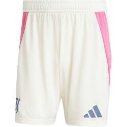 adidas Juventus Turin Auswärtsshorts 2024/25 Herren