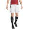 adidas Sparta Prag Heimshorts 2024/25 Herren