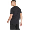 adidas Juventus Turin DNA T-Shirt 2024/25 Herren