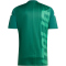 adidas FIGC Italien Aufwärmshirt 2024/25 Herren