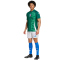 adidas FIGC Italien Aufwärmshirt 2024/25 Herren