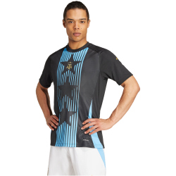 adidas AFA Argentinien Aufw&auml;rmshirt 2024/25 Herren