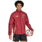 adidas RBFA Belgien Einlaufjacke 2024/25 Herren
