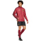 adidas RBFA Belgien Einlaufjacke 2024/25 Herren