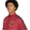 adidas RBFA Belgien Einlaufjacke 2024/25 Herren
