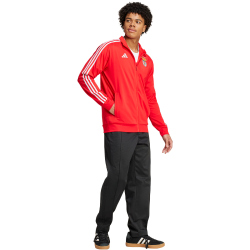 adidas SL Benfica Lissabon DNA Trainingsjacke 2024/25 Herren