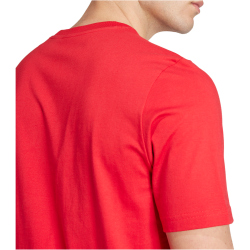 adidas Manchester United DNA Graphic T-Shirt 2024/25 Herren