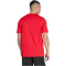 adidas Manchester United DNA Graphic T-Shirt 2024/25 Herren