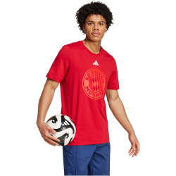 adidas FC Bayern M&uuml;nchen DNA Graphic T-Shirt 2024/25...