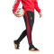 adidas Manchester United DNA Jogginghose 2024/25 Herren