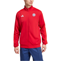 adidas FC Bayern München DNA Trainingsjacke 2024/25 Herren