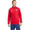 adidas FC Bayern München DNA Trainingsjacke 2024/25 Herren
