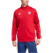 adidas FC Bayern München DNA Trainingsjacke 2024/25 Herren