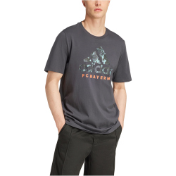 adidas FC Bayern M&uuml;nchen SZN Graphics T-Shirt...