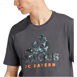 adidas FC Bayern M&uuml;nchen SZN Graphics T-Shirt...