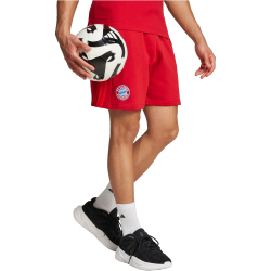 adidas FC Bayern München DNA Sweatshorts 2024/25 Herren