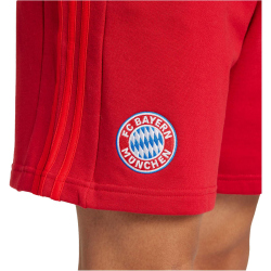 adidas FC Bayern München DNA Sweatshorts 2024/25 Herren