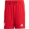 adidas FC Bayern München DNA Sweatshorts 2024/25 Herren