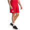 adidas FC Bayern München DNA Sweatshorts 2024/25 Herren