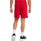 adidas FC Bayern München DNA Sweatshorts 2024/25 Herren
