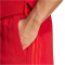 adidas FC Bayern München DNA Sweatshorts 2024/25 Herren