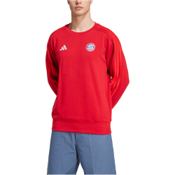 adidas FC Bayern M&uuml;nchen DNA Sweatshirt 2024/25 Herren