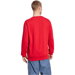 adidas FC Bayern M&uuml;nchen DNA Sweatshirt 2024/25 Herren
