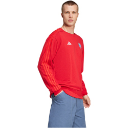 adidas FC Bayern M&uuml;nchen DNA Sweatshirt 2024/25 Herren