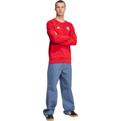 adidas FC Bayern M&uuml;nchen DNA Sweatshirt 2024/25 Herren