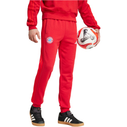 adidas FC Bayern M&uuml;nchen DNA Jogginghose 2024/25 Herren