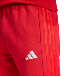 adidas FC Bayern M&uuml;nchen DNA Jogginghose 2024/25 Herren