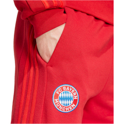 adidas FC Bayern M&uuml;nchen DNA Jogginghose 2024/25 Herren