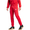 adidas FC Bayern München DNA Jogginghose 2024/25 Herren