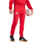 adidas FC Bayern München DNA Jogginghose 2024/25 Herren